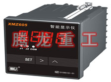 溫度表、數(shù)字顯示儀、濕度表