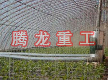 大棚花卉供暖設(shè)備、大棚卉采暖設(shè)備、大棚花卉取暖設(shè)備