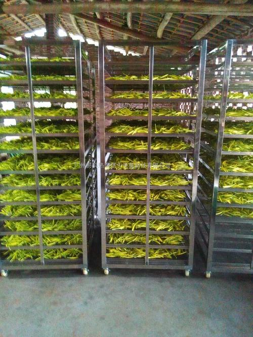 黃花菜烘干機、黃花菜烘干設(shè)備、黃花菜干燥機、黃花菜干燥設(shè)備、